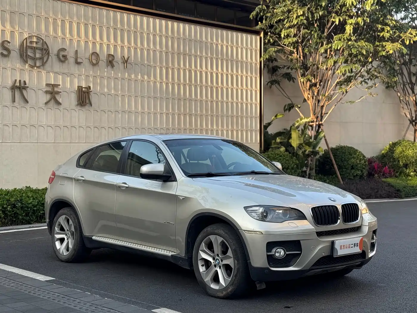 BMW X6 2009 xDrive35i фото 3