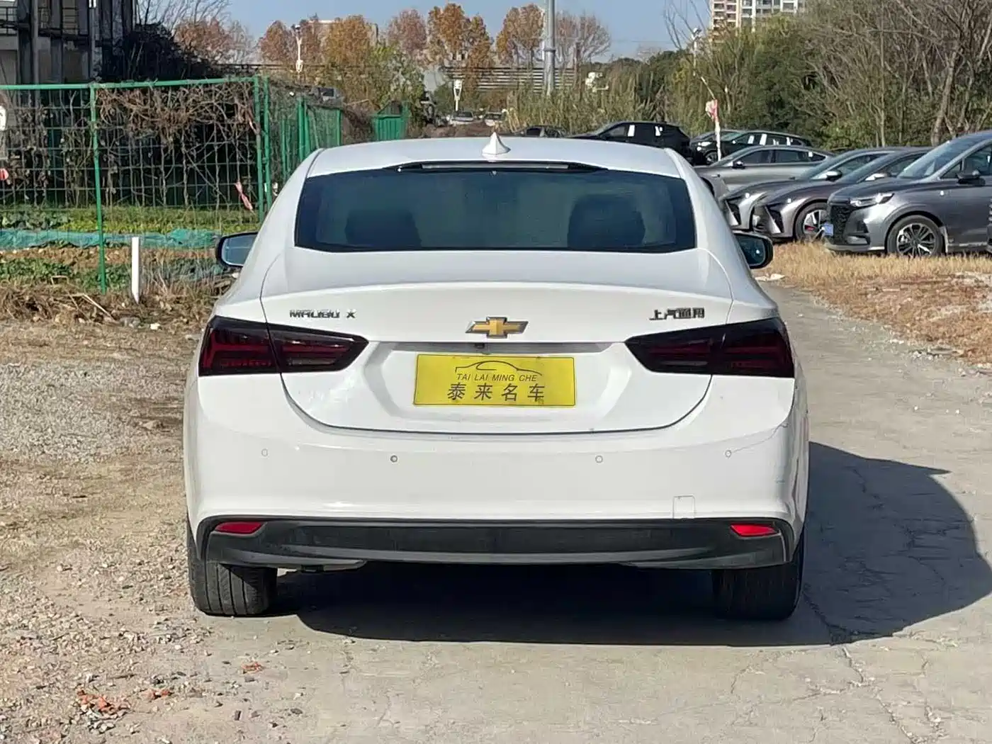 Chevrolet Malibu XL 2018 530T Auto RuiYi Edition фото 8