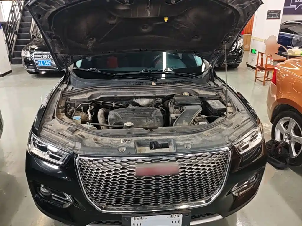 Haval H2s 2018 2018 Red Label 1.5T DCT Smart Elite Type