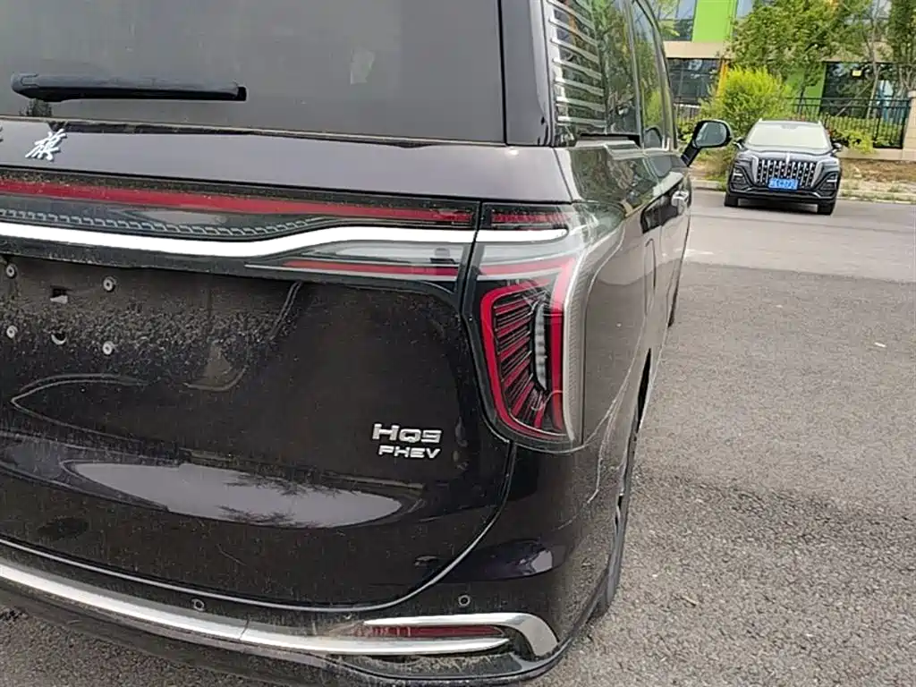 Hongqi HQ9 PHEV 2024 Model 2.0T AWD Business Edition фото 8