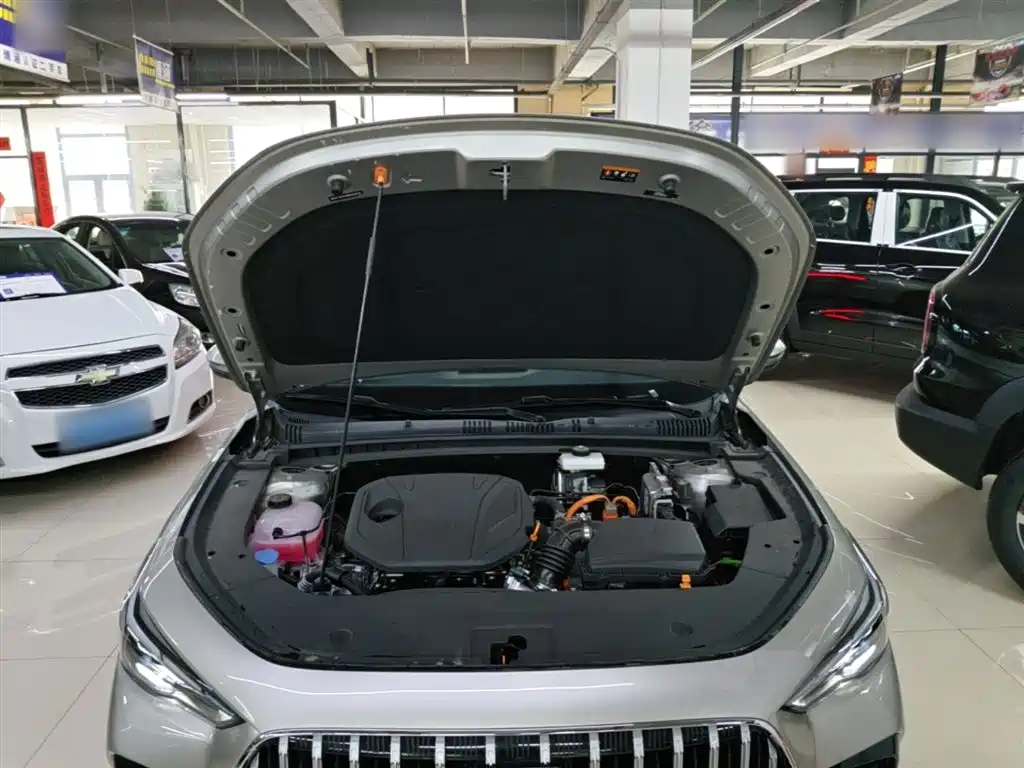 Geely Galaxy Galaxy Stellar 6 2025 Model 125km Free Edition фото 20