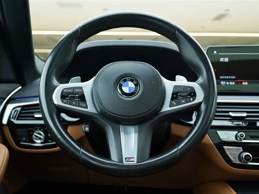 BMW 5 Series 2021 530Li xDrive M Sport Package фото 17
