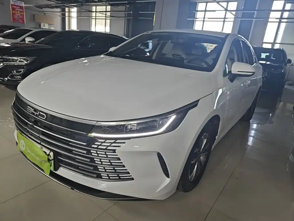 BYD Destroyer 05 2024 Glory Edition DM-i 55KM Luxury