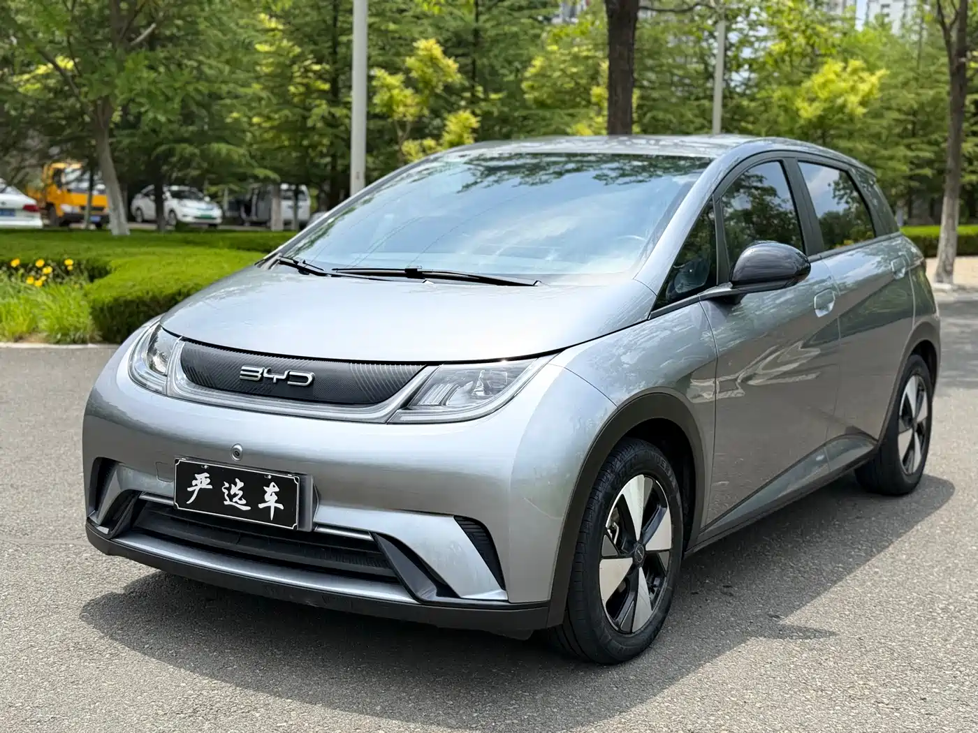 BYD Dolphin 2024 Glory Edition 420km Freedom Edition