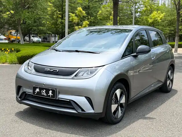BYD Dolphin 2024 Glory Edition 420km Freedom Edition