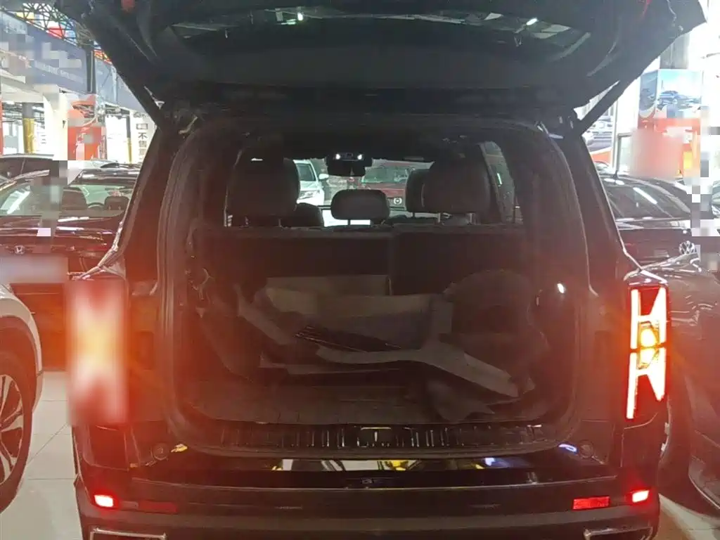 GAC Trumpchi Trumpchi GS8 2024 Navigator Series 2.0TGDI 2WD Luxury Smart Connect Edition фото 19