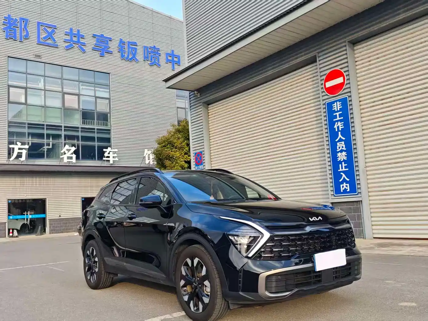 KIA LION PLATINUM EXPANDS THE WORLD