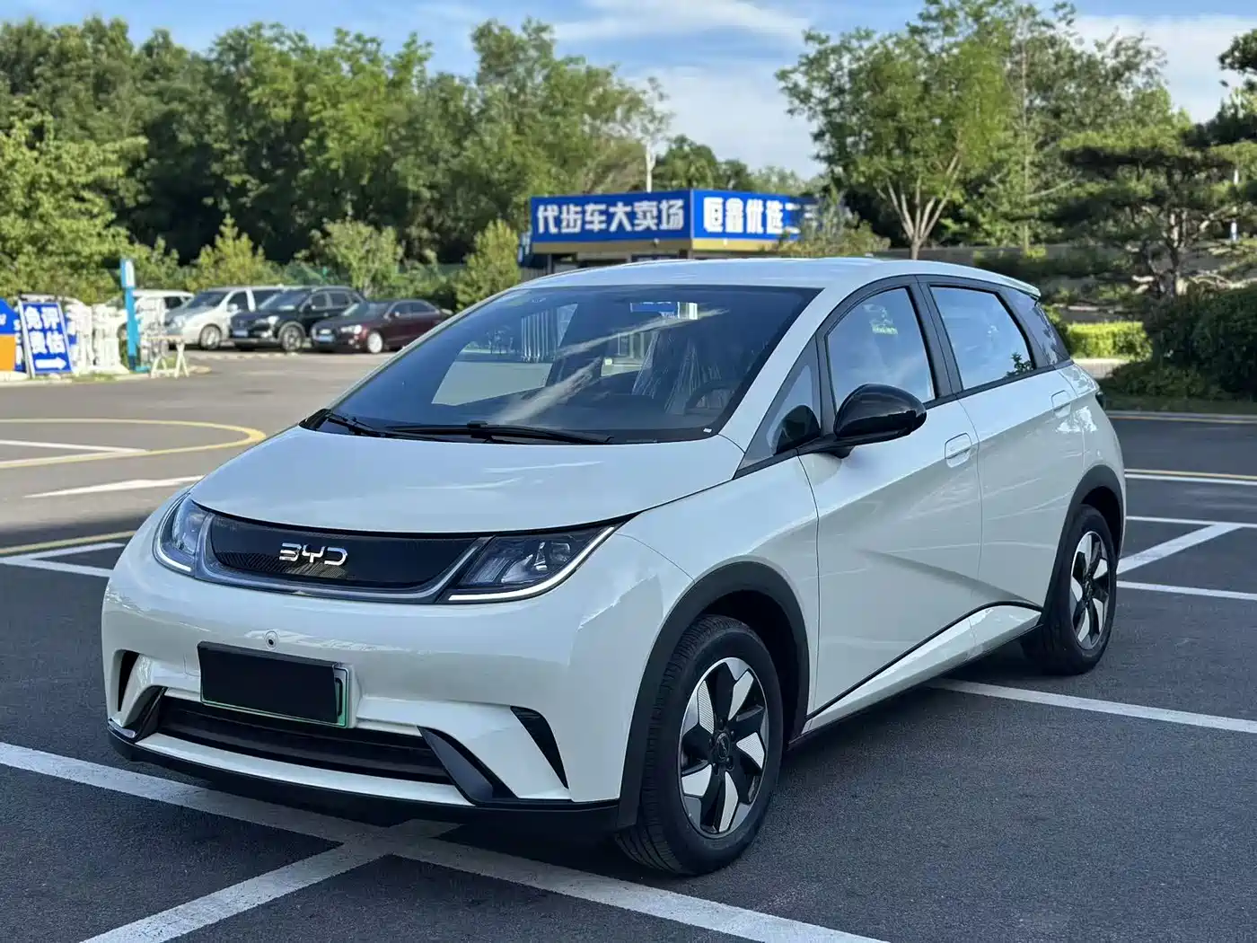 BYD Dolphin 2026 2025 420km Freedom Edition