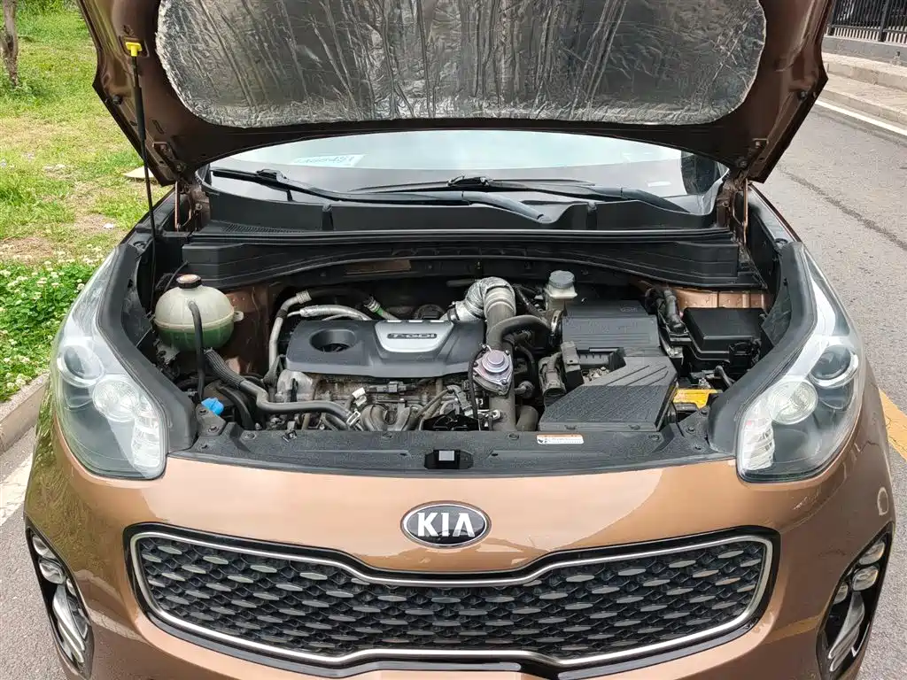 Kia KX5 2016 Model 1.6T Automatic 2WD Premium фото 17