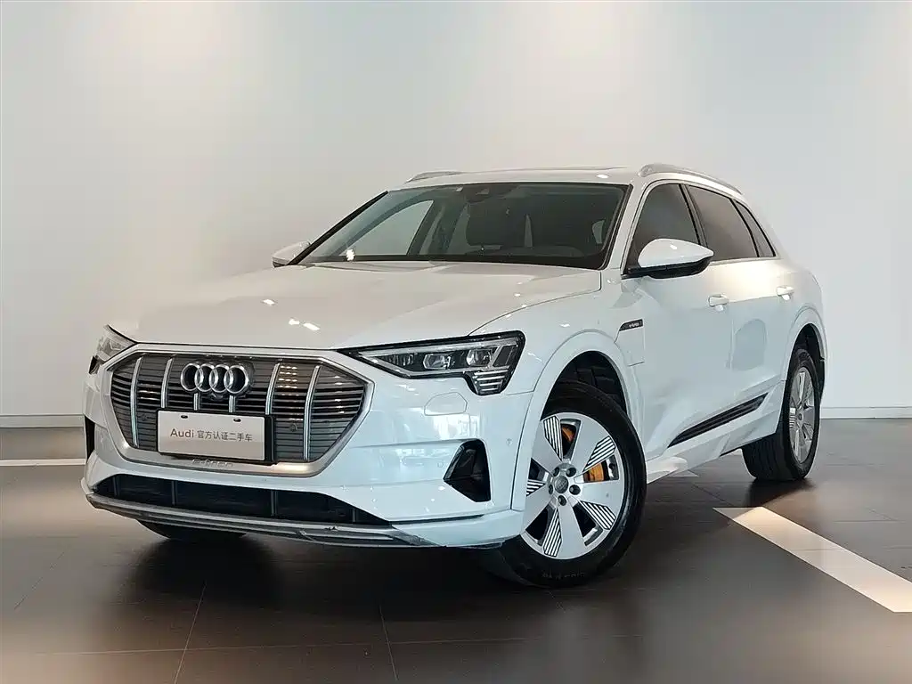 2020 Audi e-tron (Import)