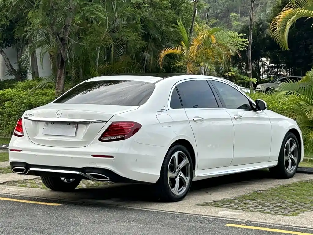 Mercedes-Benz E-Class 2019 E 300 L Sport Luxury фото 5