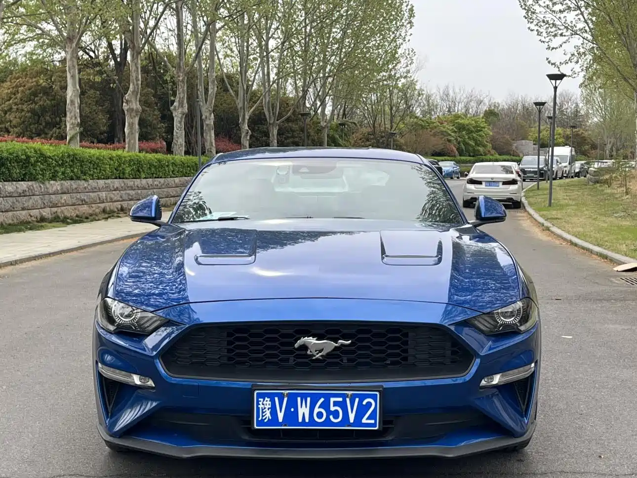 FORD MUSTANG