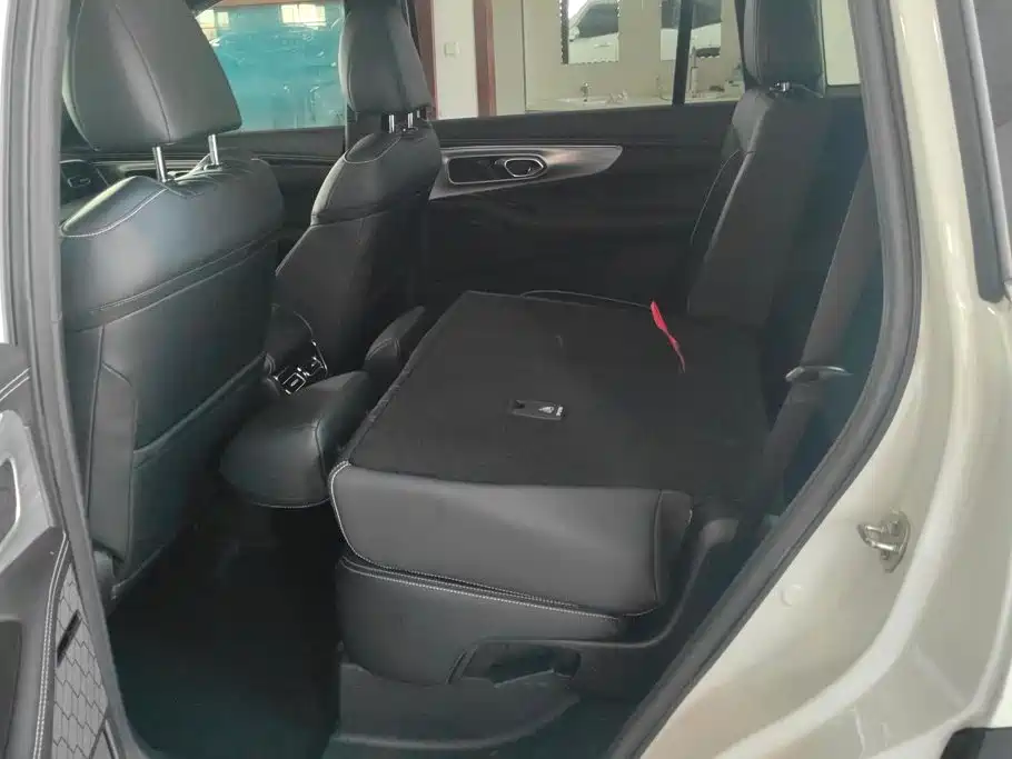 GAC Trumpchi Trumpchi GS8 2024 2025 Pilot Series 2.0TGDI 2WD Luxury Edition 5-seater