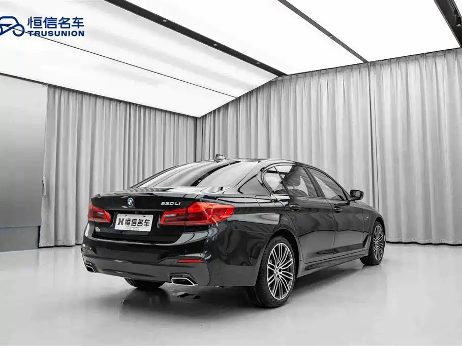 BMW 5 Series 2019 530Li Leading M Sport Package фото 5