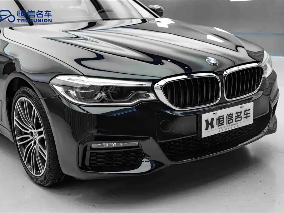BMW 5 Series 2019 530Li Leading M Sport Package фото 9