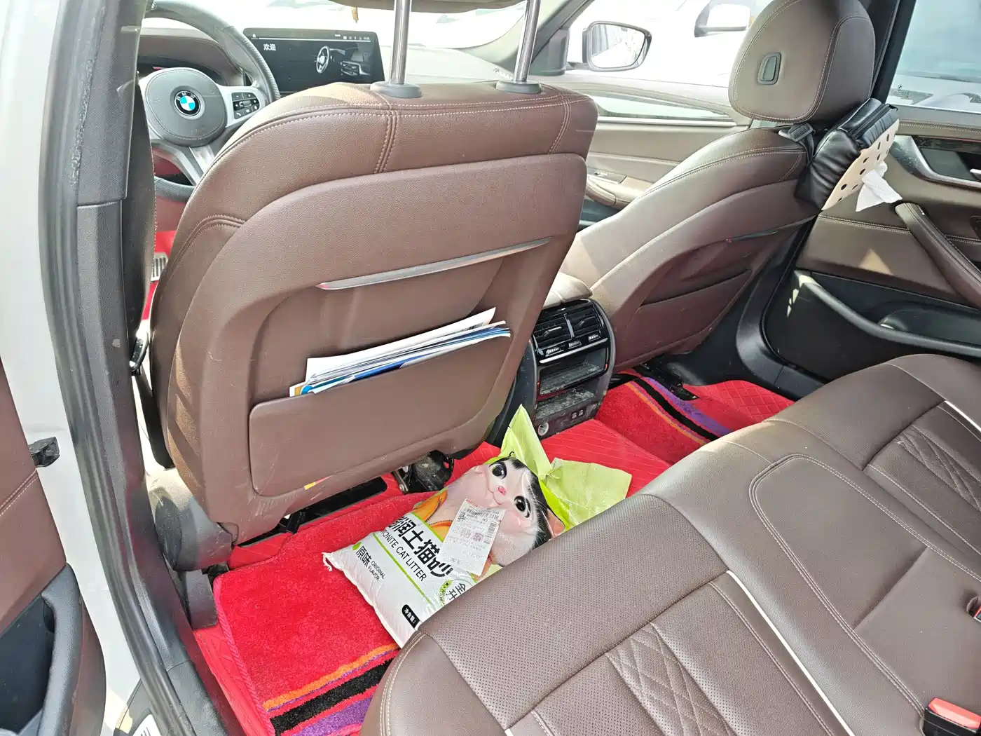BMW 5 Series 2021 525Li Luxury Package фото 15