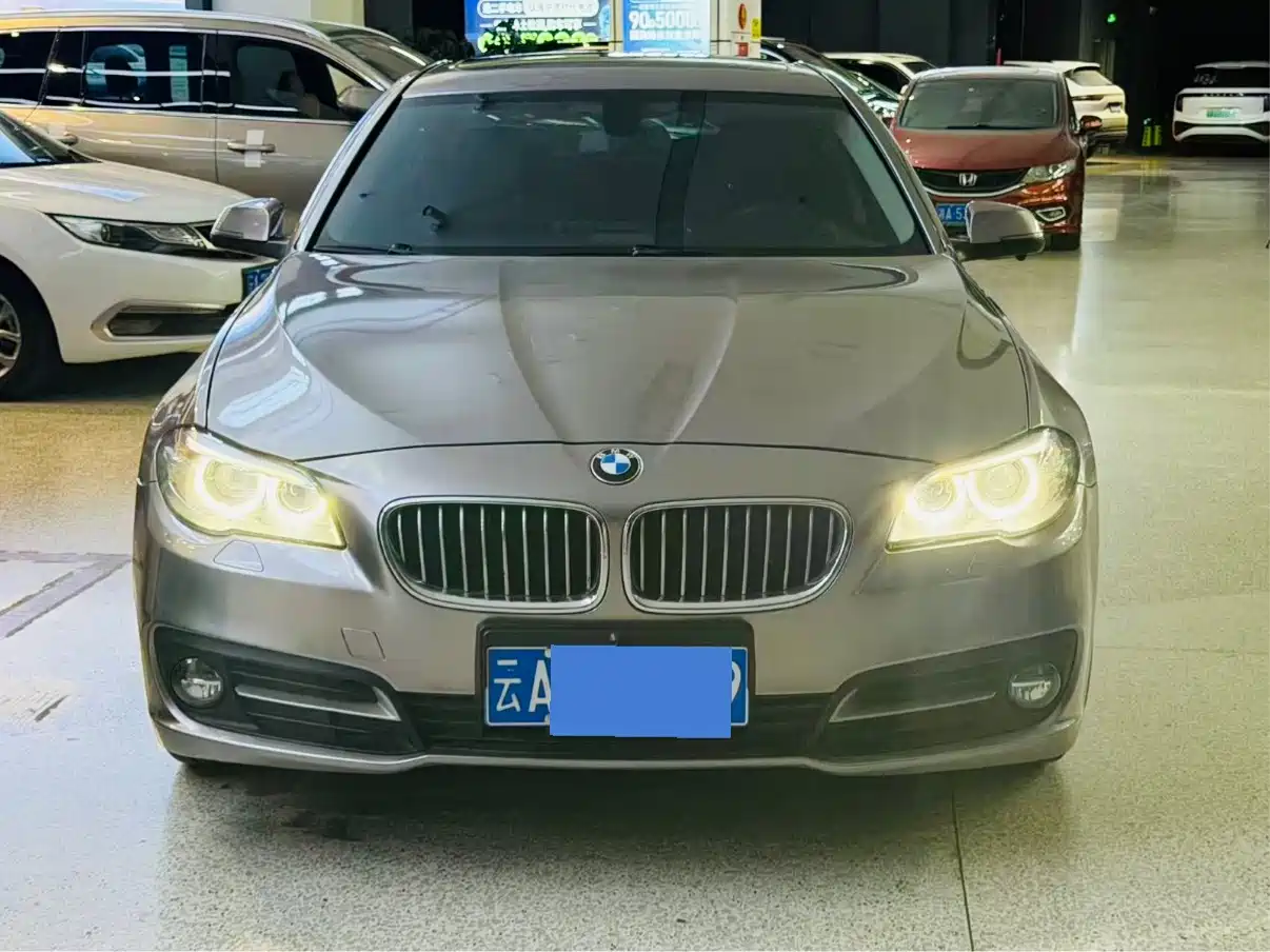 BMW 5 Series 2014 525Li Luxury Design Package фото 2