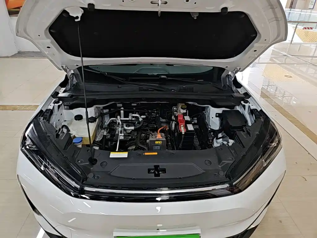 Фото 20 - Dongfeng Aeolus Dongfeng Fengshen L7