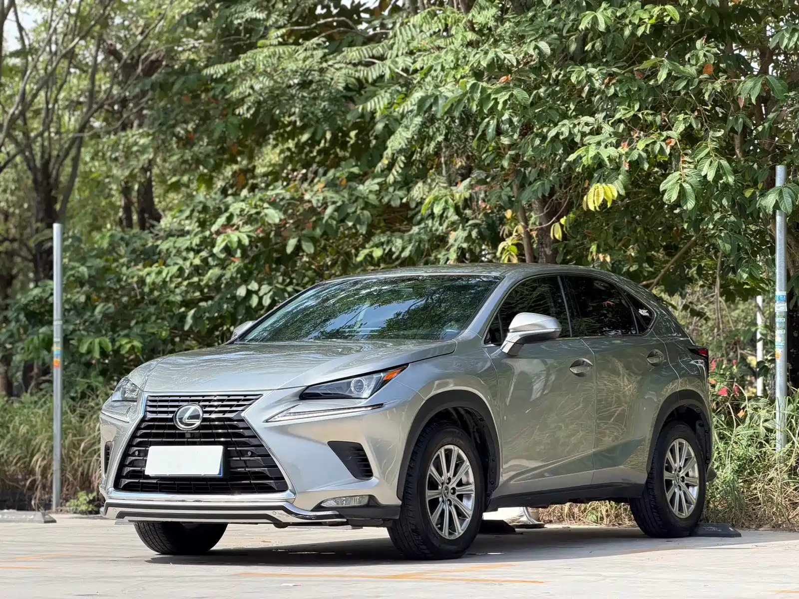 Photo 1 - Lexus NX
