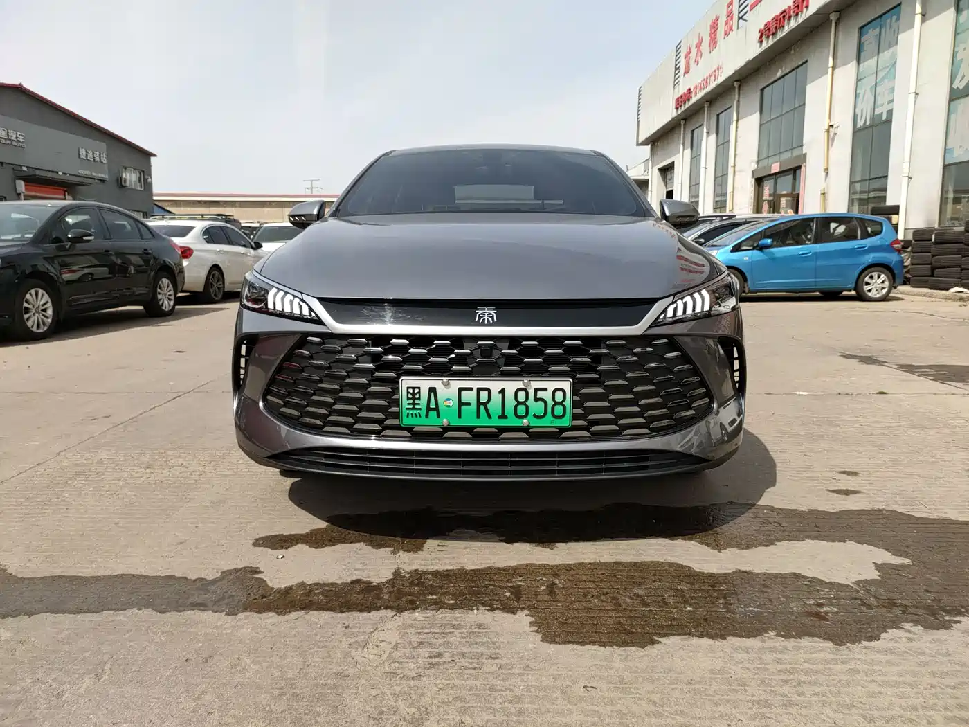 BYD Qin PLUS 2025 DM-i Smart Drive 55KM Leader фото 2