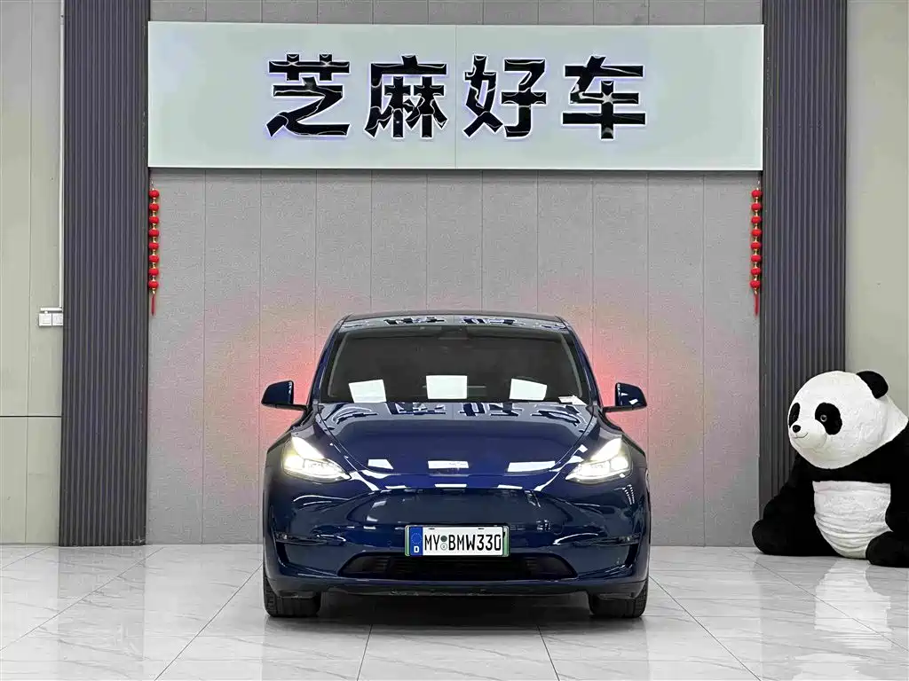 Tesla Model Y 2021 2021 Long Range All-Wheel Drive 3D7