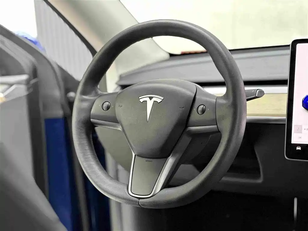 Tesla Model Y 2021 2021 Long Range All-Wheel Drive 3D7