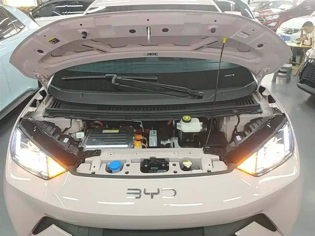 BYD Seagull 2025 305km Vitality фото 20