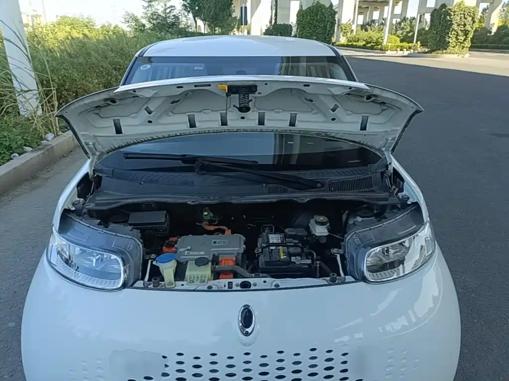 Ora White Cat 2020 2020 305km Luxury