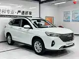 Фото 3 - Haval M6