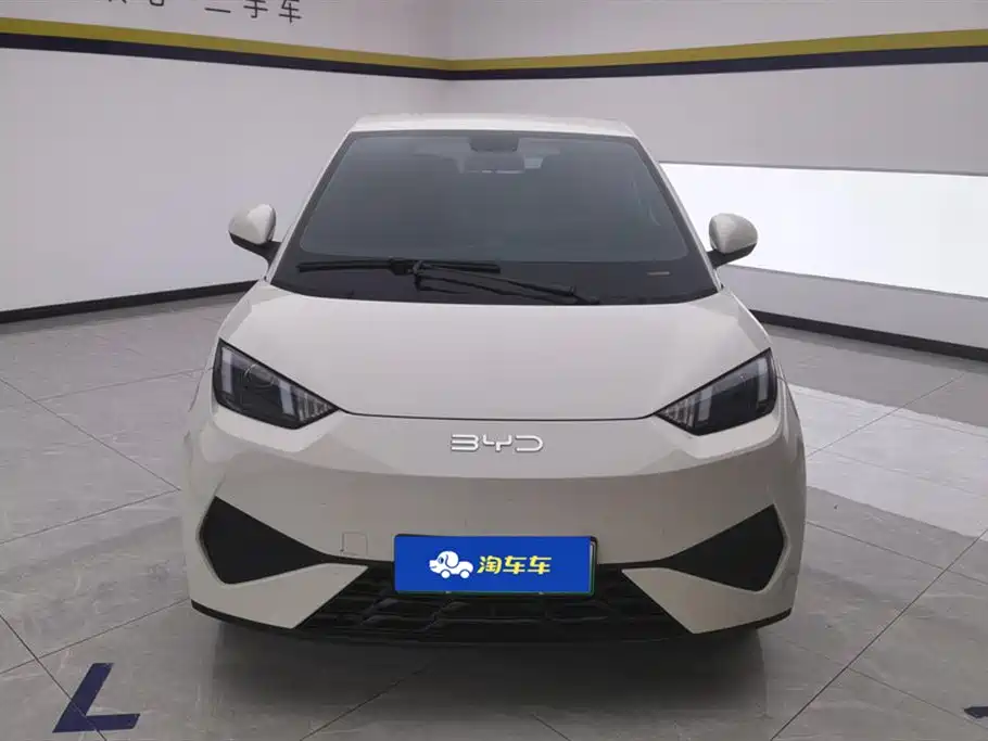 BYD Seagull 2025 Smart Drive Edition 305km Vitality Version фото 2