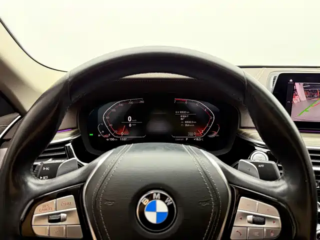 BMW 5 Series 2020 530Li Leading Luxury Package — фото 4