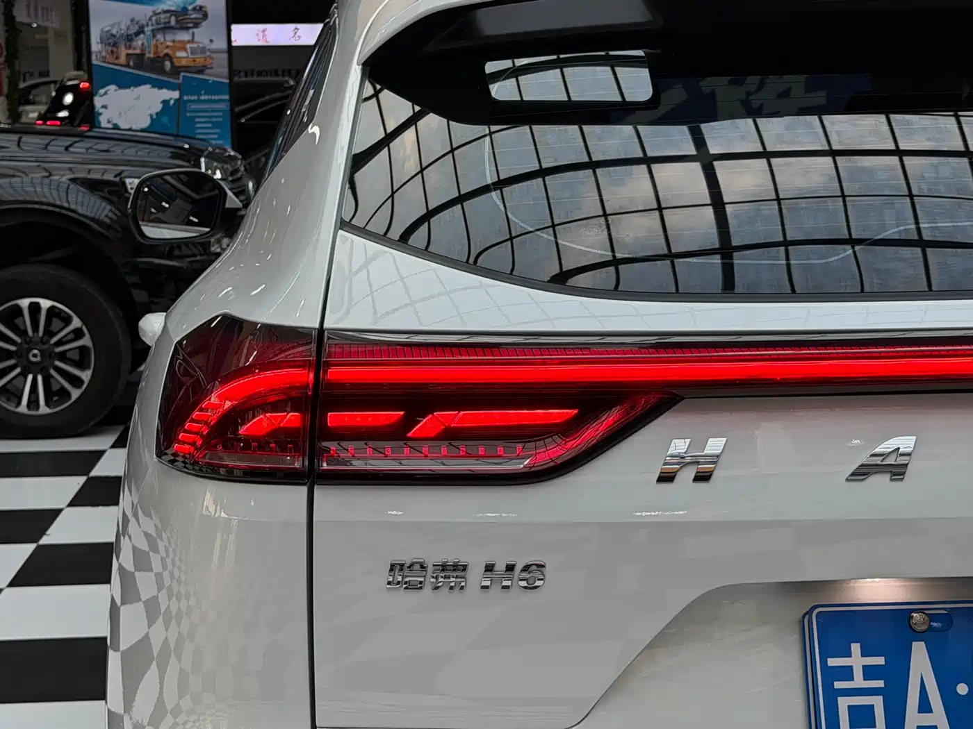  H6