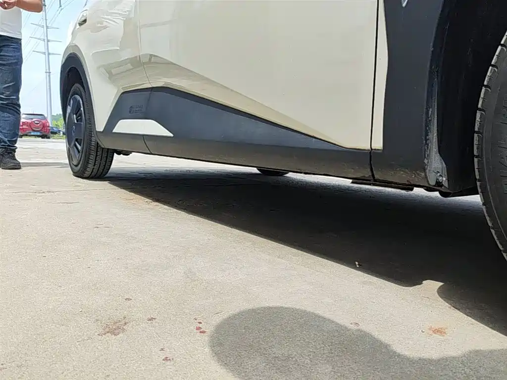 BYD Seagull 2024 Glory Edition 305km Vitality Edition фото 21