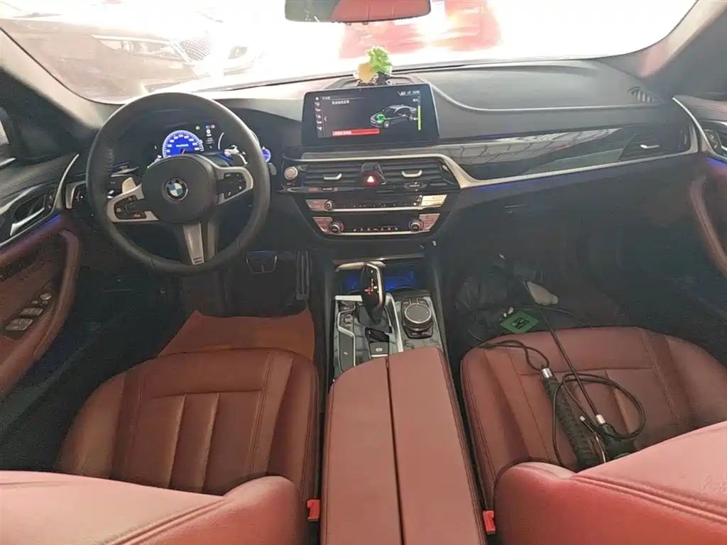 BMW 5 Series 2019 530Li Leading M Sport Package фото 10