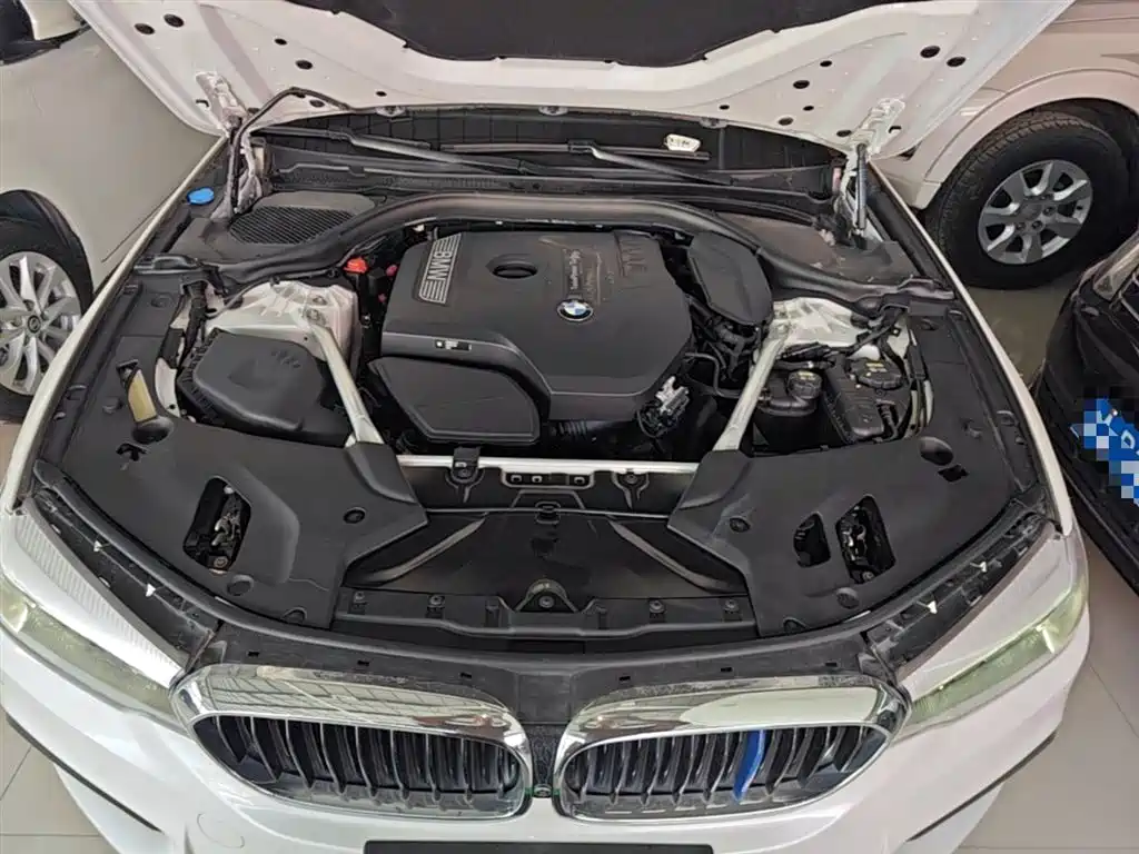 BMW 5 Series 2019 530Li Leading M Sport Package фото 20