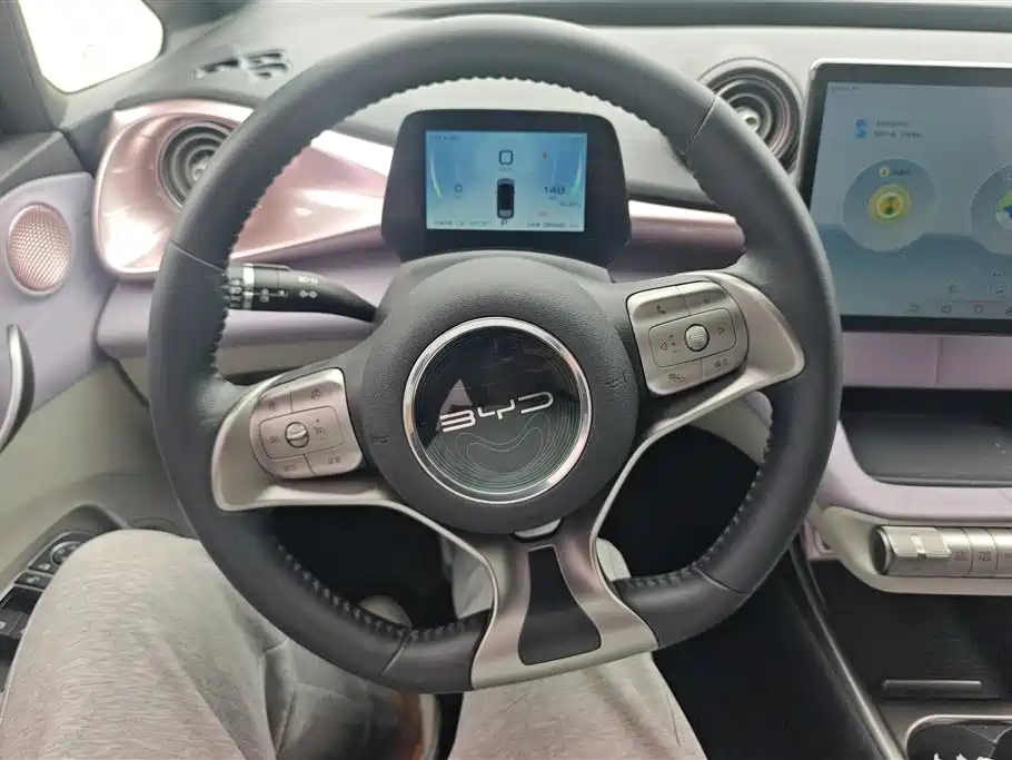 BYD Dolphin 2021 Model 405km Fashion Edition фото 15