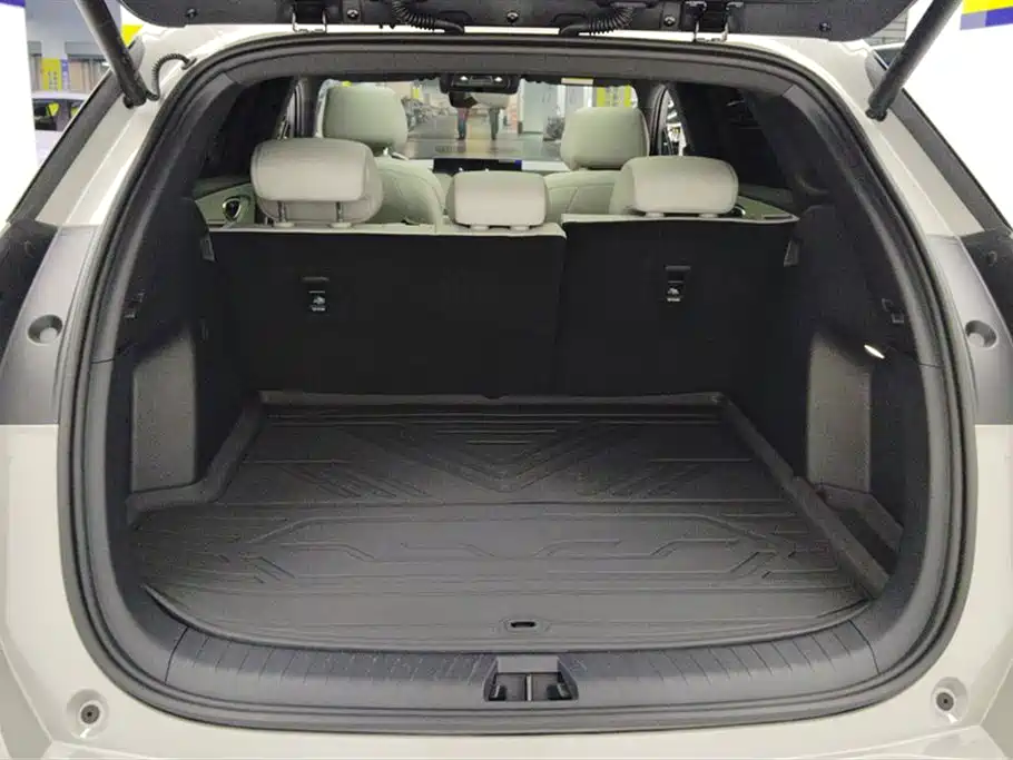 BYD SEA LION 06 NEW ENERGY