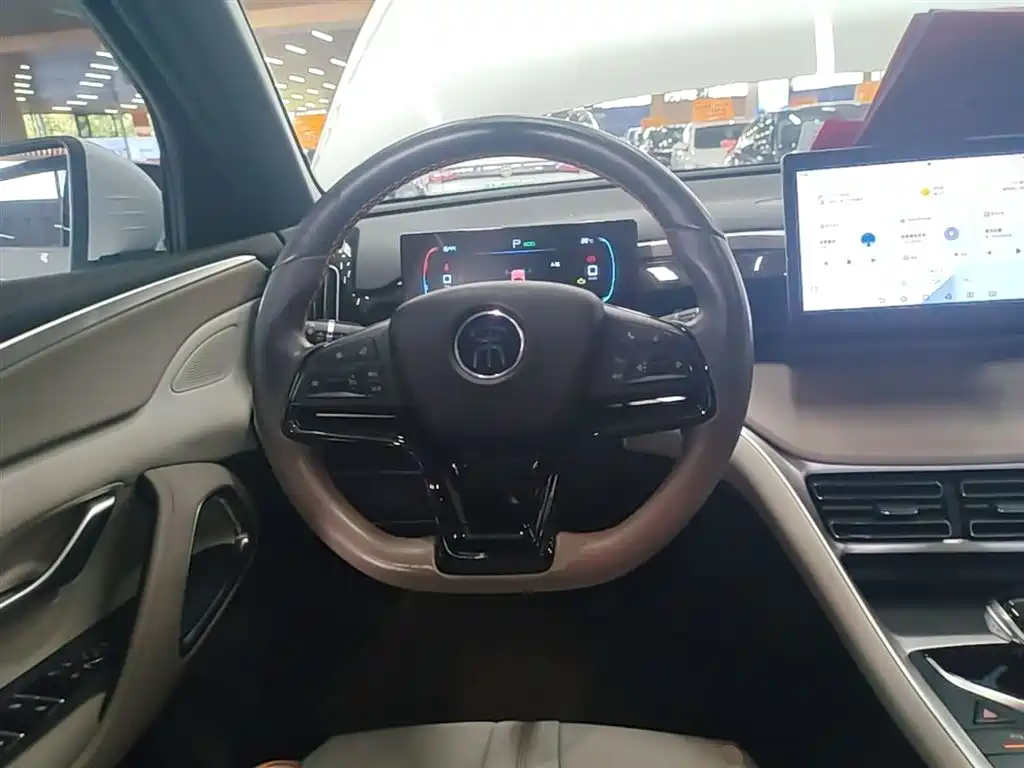 BYD Song Pro New Energy 2024 Glory Edition DM-i 71KM Leading фото 11