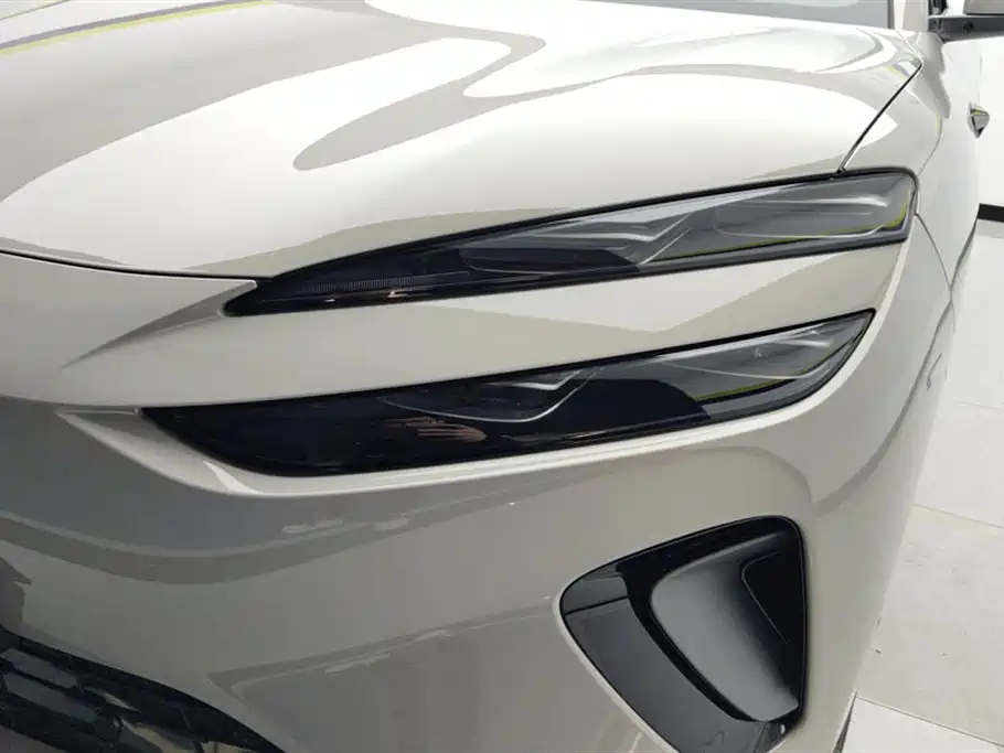 BYD SEA LION 06 NEW ENERGY