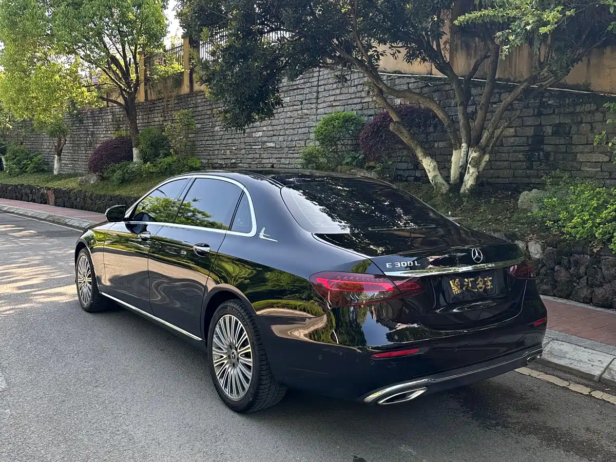 Mercedes-Benz E-Class 2023 E 300 L Luxury фото 6
