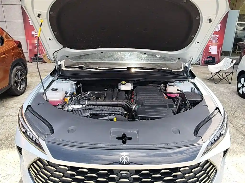 BYD Qin PLUS 2025 DM-i Smart Drive 55KM Leader фото 20