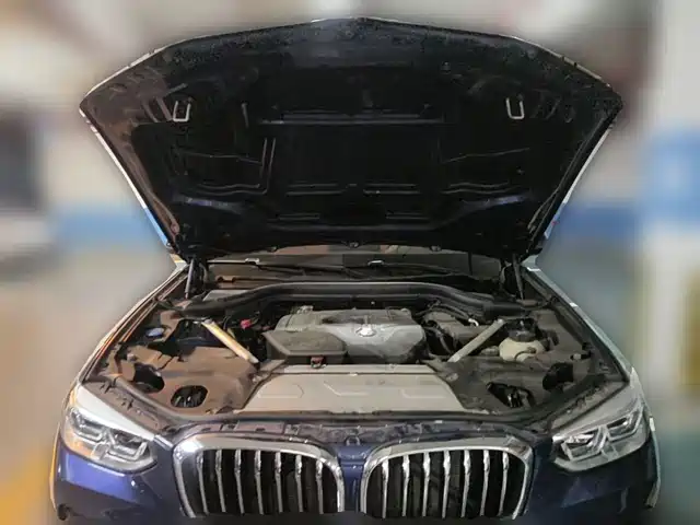 BMW X3 2021 xDrive25i Luxury Package — фото 3