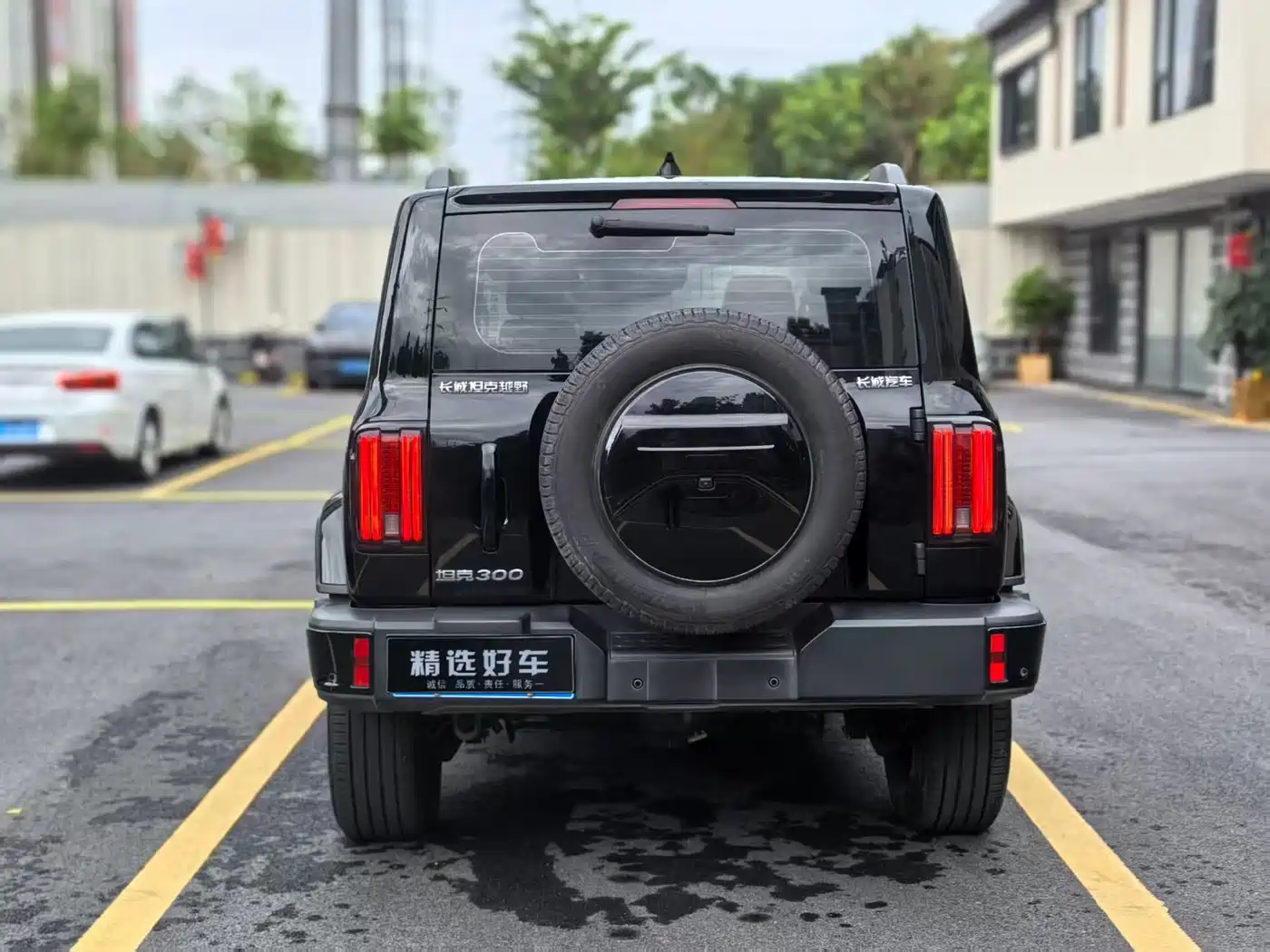 Tank 300 2024 2.0T Explorer фото 6