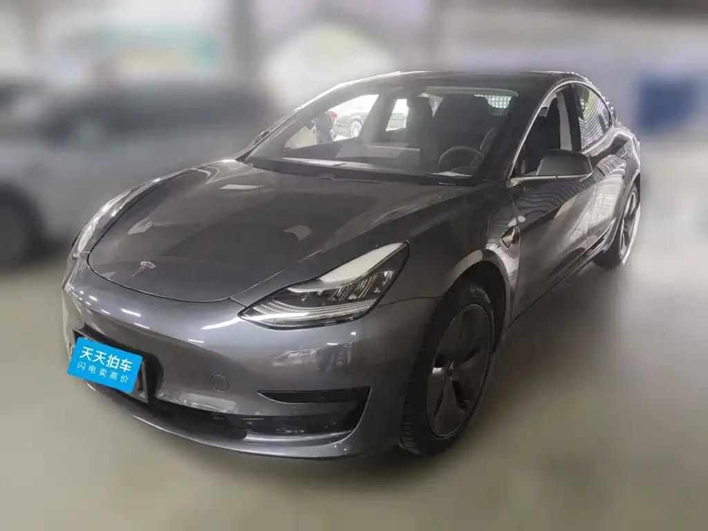 Tesla Model 3 2020 2019 Standard Range Rear-Wheel Drive Upgrade