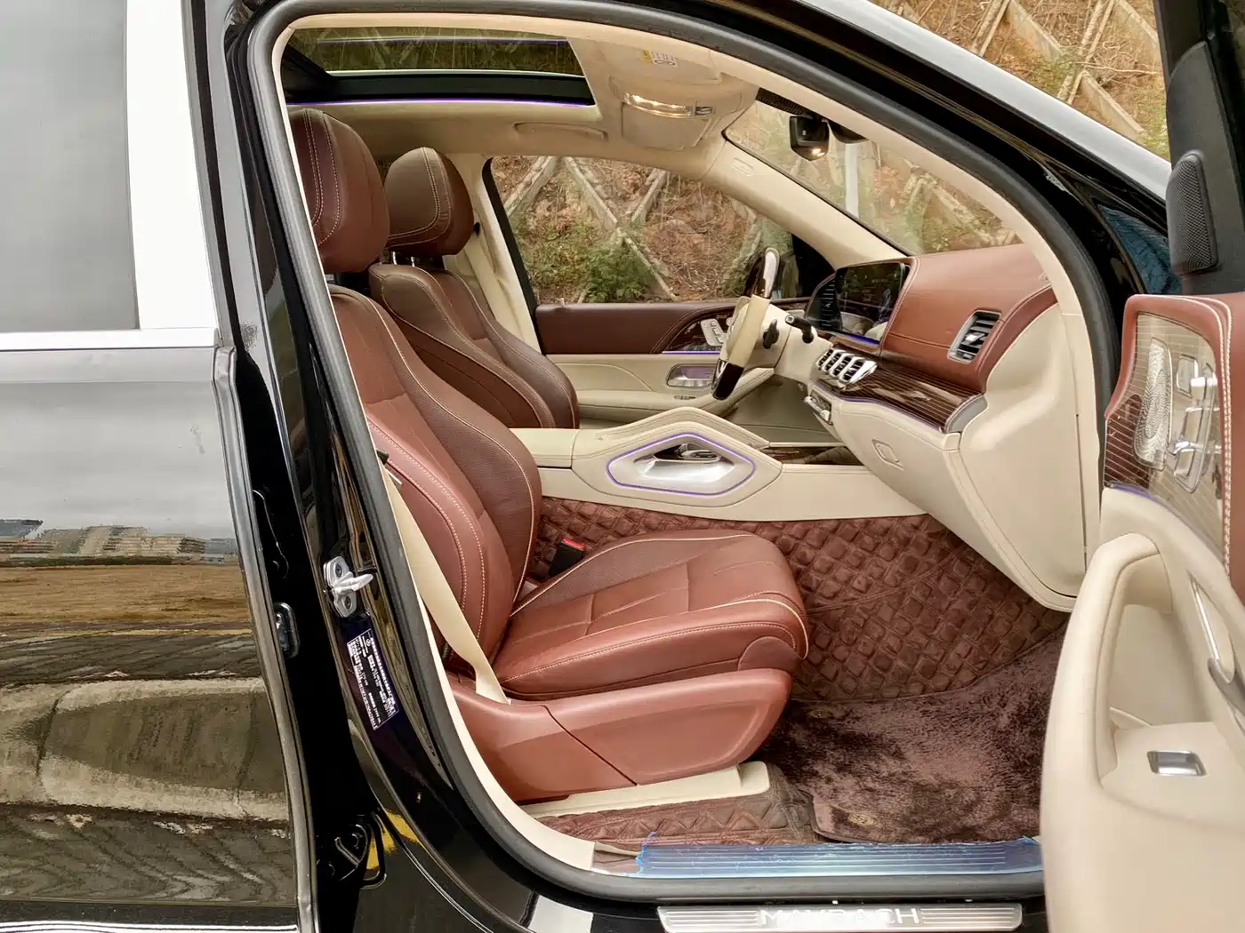 Mercedes-Benz Maybach GLS 2021 GLS 480 4MATIC фото 11