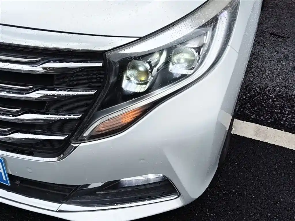 GAC Trumpchi Trumpchi M8 2018 320T Flagship Edition фото 24