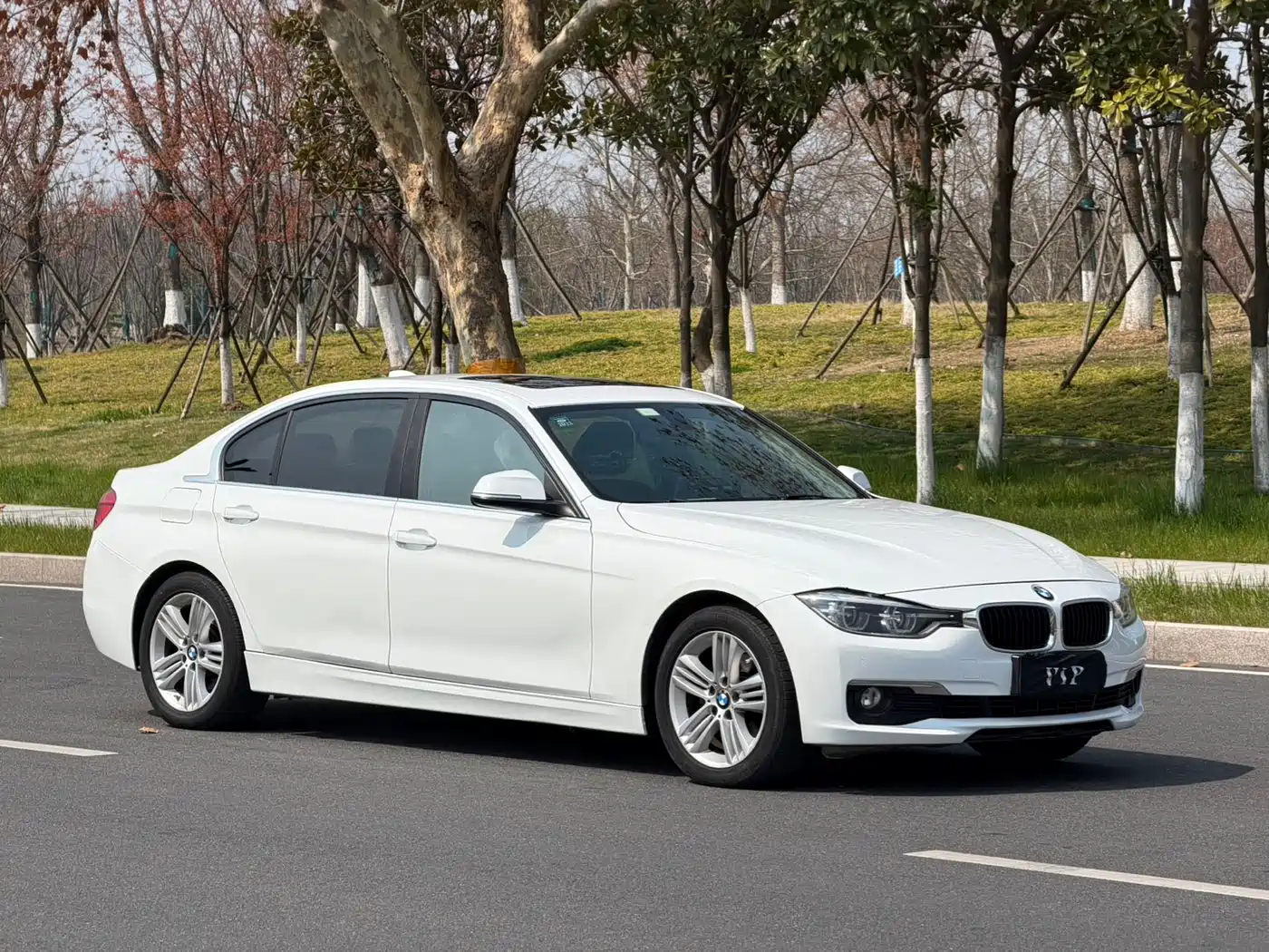 BMW 3 Series 2016 320Li Progressive фото 3