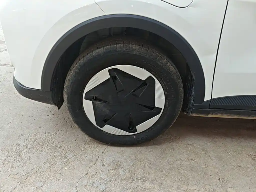Geely Geometry E Firefly 2024 2024 Model 301km Light Flow