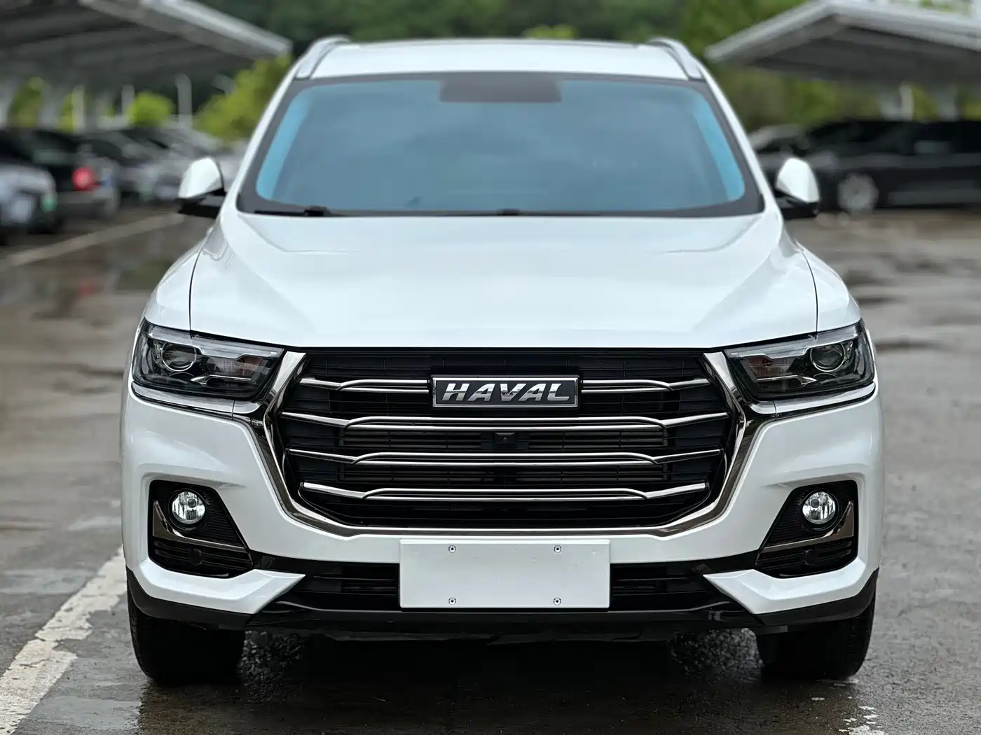 Haval H6 2021 Model National Trend Edition 1.5T Auto Champion фото 3