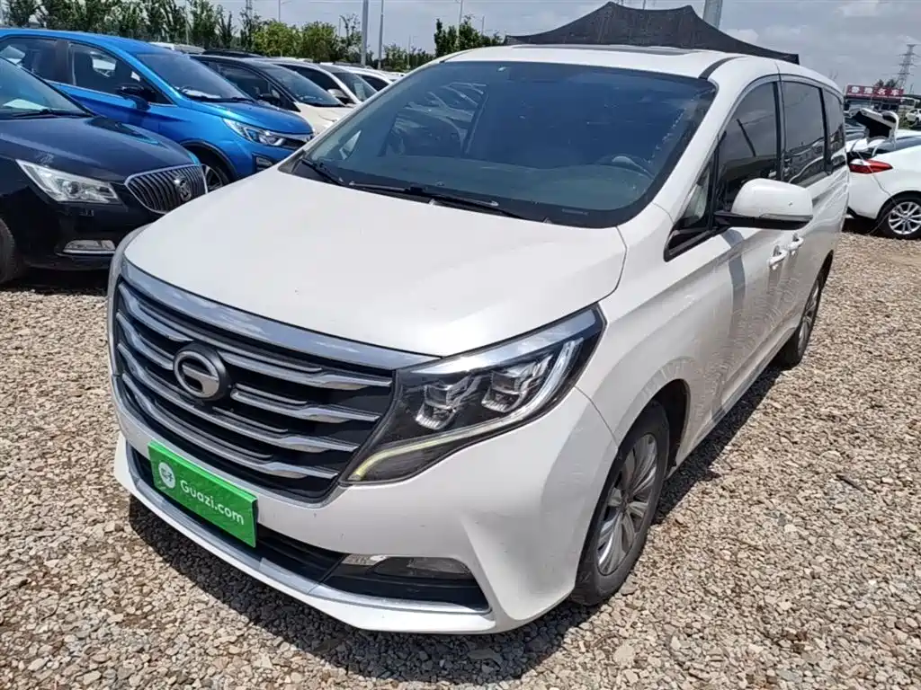 GAC Trumpchi Trumpchi M8 2018 320T Exclusive Edition